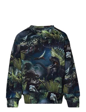 Mattis Sweatshirt Trøje Multi/mønstret Molo
