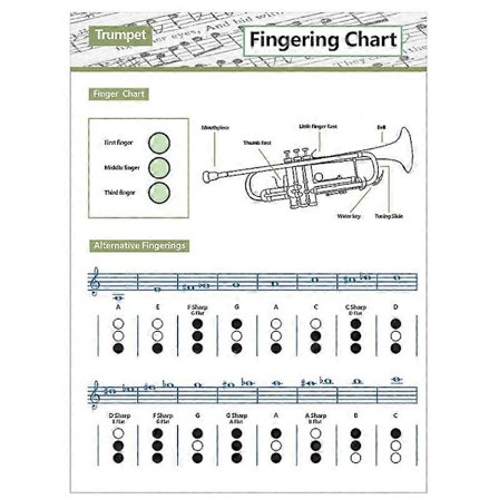 Trumpetin harjoitustaulukko Sointu Trumpetin sormituskaavio Trumpetin sormituskaavio Musiikkisointutaulu S