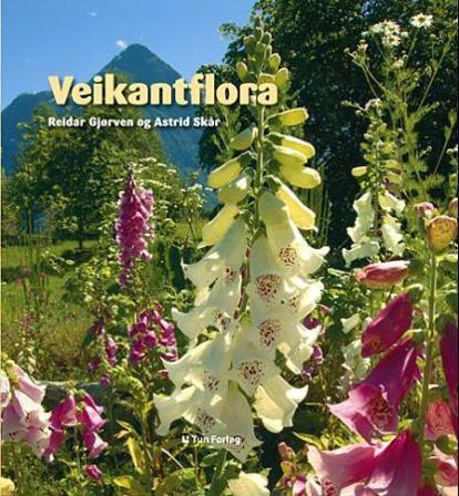 Veikantflora - Bok av Astrid Skår - Hardback