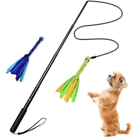 Utendørs Interaktiv Hundeflyndre Utvidbar Flirtstang Jager