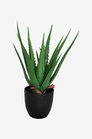 Nordic Furniture Group - Taidekasvi Viridis Aloe Vera - Vihreä - Tekokasvit - - Homeroom