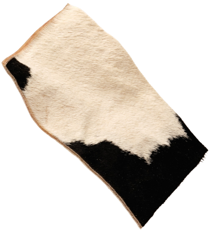 Njord Pet puruluu naudasta