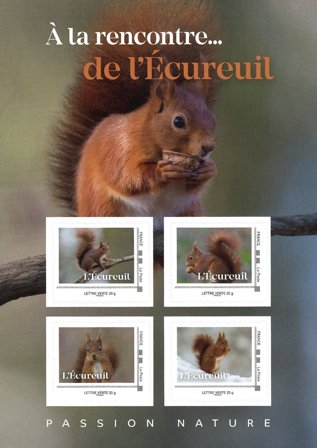 Frankrig - Egern - Postfrisk ark