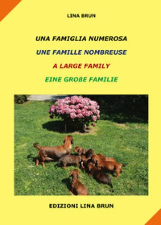 Una famiglia numerosa-Une famille nombreuse-A large family-Eine grabe familie. Ediz. multilingue Lina Brun