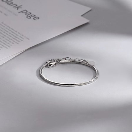 Par Armbånd Par Snake Bone Armbånd Niche Enkel gave Fo