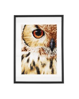 Billede Ugle i nærbillede - Lanarte