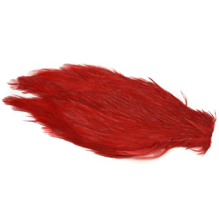American Streamer Neck, #1 Red