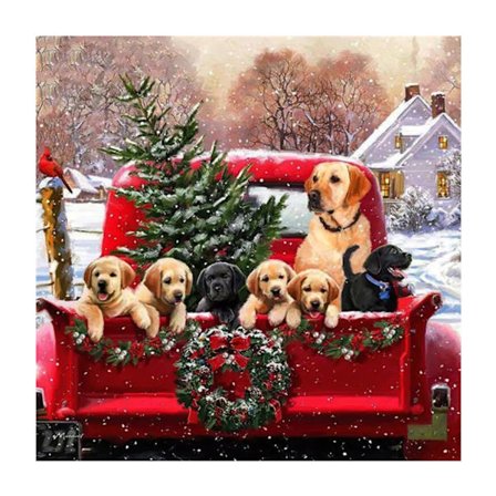 5D diamantmaleri, julepynt maleri, vintermaleri