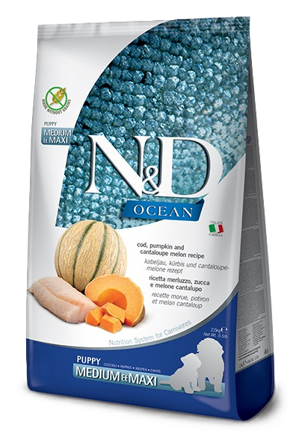 Farmina - Dog N&D Ocean Cod, Pumpkin & Cantaloupe Melon Puppy Medium & Maxi 12 kg - Hund - Hundefôr & hundemat - Tørrfôr for hund - ZOO.no