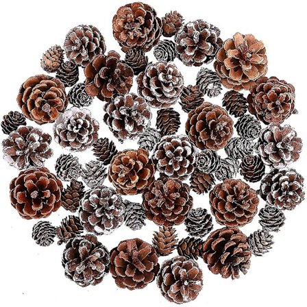 Naturlig Snø 4-6cm Furu Kongler 2-3cm Mikro-mini Furu Kongler Jul Snø Furu