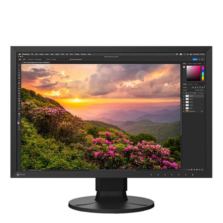 EIZO Monitor ColorEdge CS2400S 24" Svart