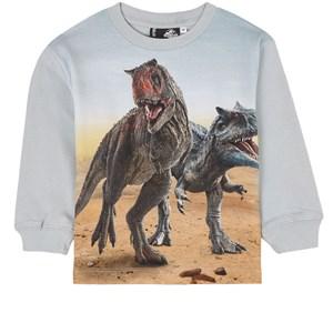 Molo Wild Dinos Rube GOTS T-Shirt With Print 164 cm - Tops - 164 cm - Blue