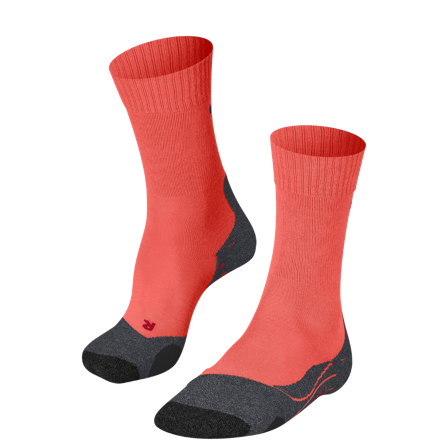 Falke W's Tk2 Explore Coral