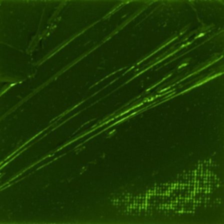 Oljefärg - Pébéo - 200044 - Terre Verte - 200 ml - Snabbtorkande 3-6 dagar