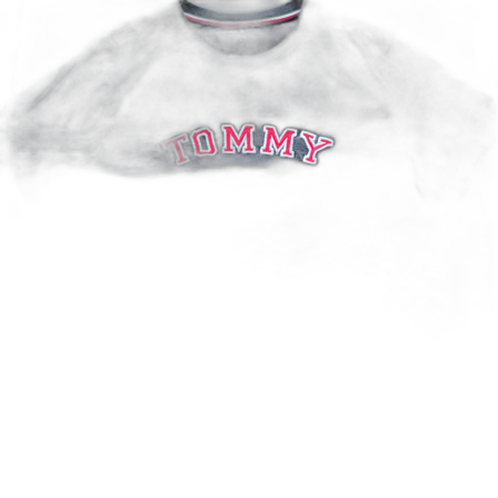 Tommy Hilfiger T-shirt