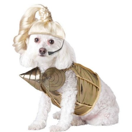 Söt hund Cosplay Halloween kostym Hund kostym
