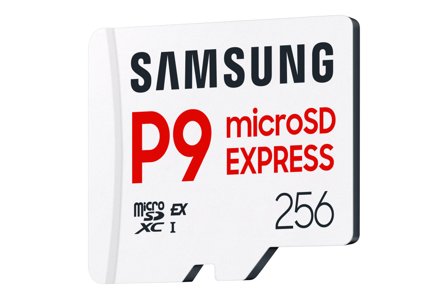 Samsung MicroSD P9 Express 256GB