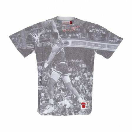 Mitchell & Ness T-Shirts Grå, Herre