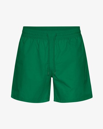 Classic Swim Shorts - Kelly Green - Male - M