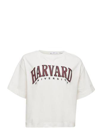 Harvard White Violeta By Mango