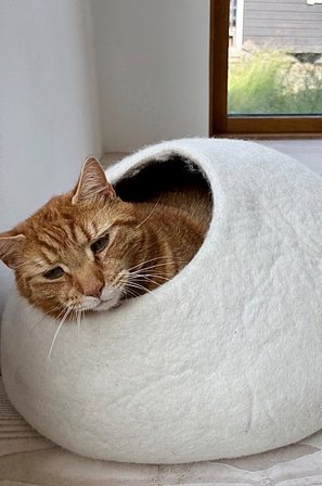 Jotex - Kattsäng i Ull ø 40 Cm Naturvit BOLLY - Köp Hundbädd/kattbädd hos Jotex