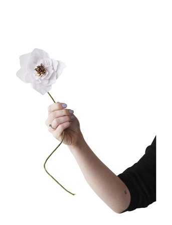 Studio About | Paper Flower, Poppy | L:43.0CM