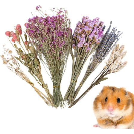 Blomstret Hamsterbur Tilbehør, Blomster Hø Seng til Væddeløbsmus