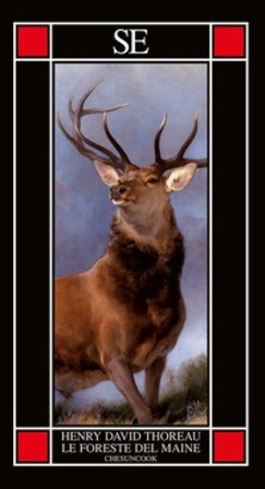 Le foreste del Maine. Chesuncook Henry David Thoreau