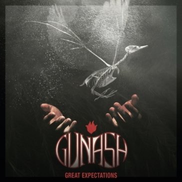 Great expectations GUNASH