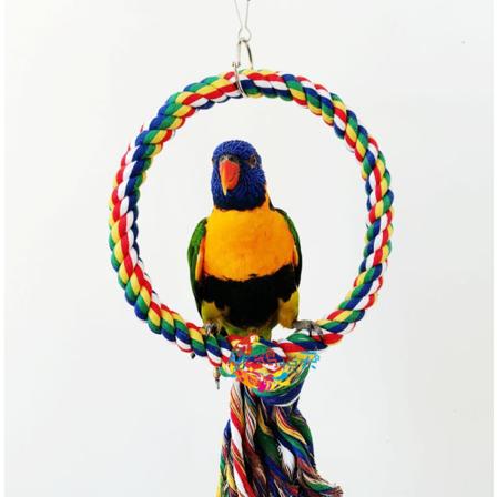 Fugl Tau Gynge Fargerik Abbor Klatring Leke for Papegøyer Undulat Kakadue Conure - M