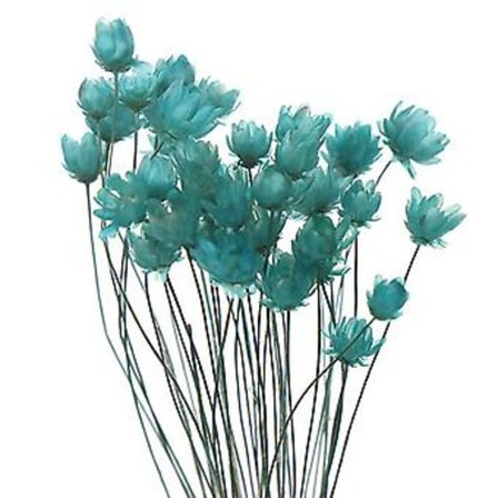30 stk. Tørrede Blomster Brasiliansk Lille Stjerne Blomst Gypsophila Krysantemum Kunst Dekoration DIY (Blå)