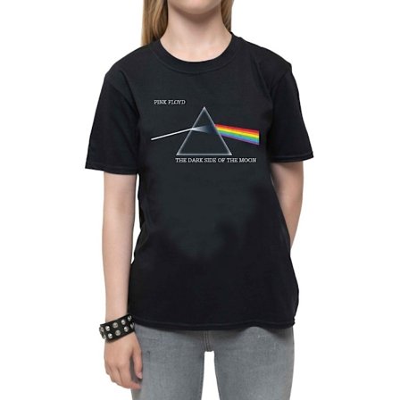 Pink Floyd Barn/Barn Dark Side Of The Moon Courier Bomull
