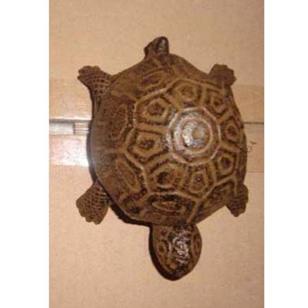 Piilota vara-avain Avainten säilytyslaatikko Säilytyslaatikko