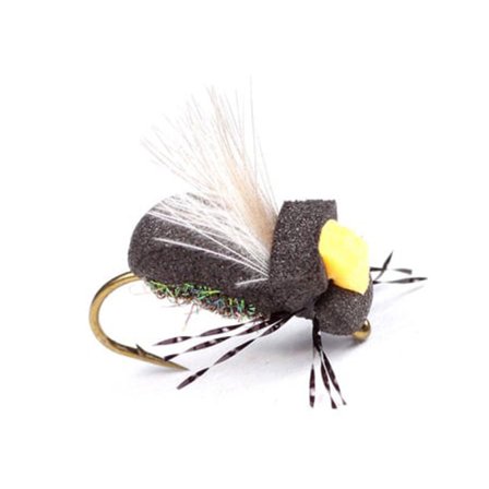 Guideline High-Viz Peacock Beetle - #16