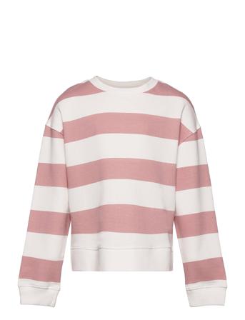 Chicle Pink Mango