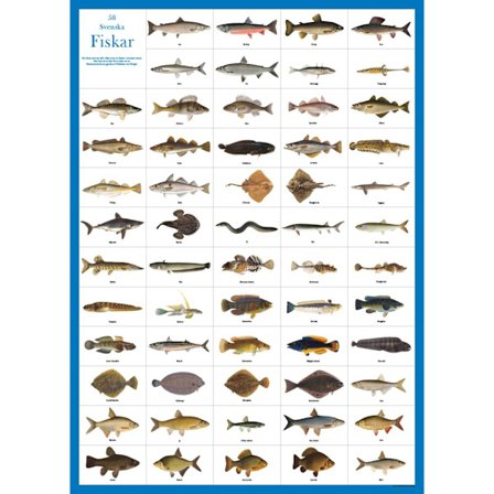 Svenska fiskar plakat - hjelm förlag