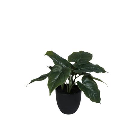 Konstgjord Växt Philodendron 35 cm Grön