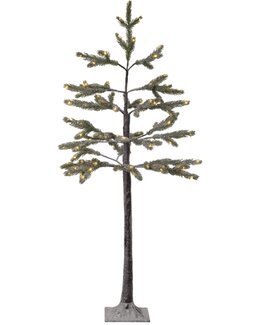 Star Trading Juletre Tanne Med LED Grønn