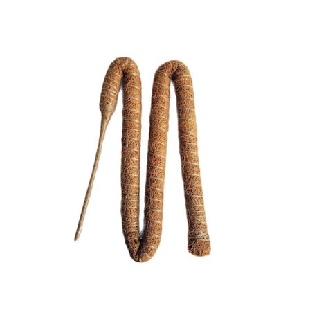 Coco Stick Sæt med 2 – Grønne græsstænger til plantestøtte, perfekt til klatrende indendørsplanter (Coco pakke med 2)