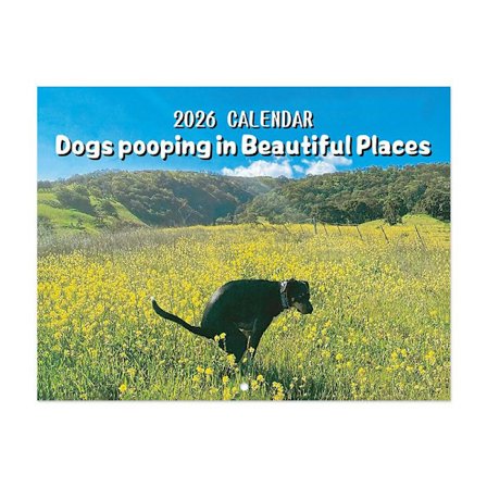 2026 Kalender, Hunde der skider på smukke steder Vægkalender, Hundeskidskalender, Sjov vægkunst Gag Humor Prank Kalender