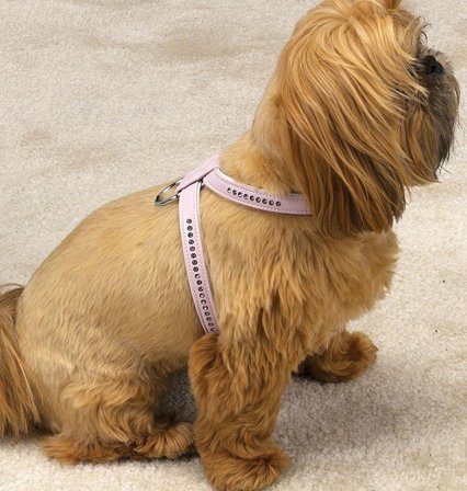 East Side Collection - Gemstone Sparkle Sele Blå - Hundsele