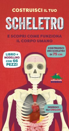 Costruisci il tuo scheletro e scopri come funziona il corpo umano. Ediz. a colori. Con modellino da costruire Richard Walker