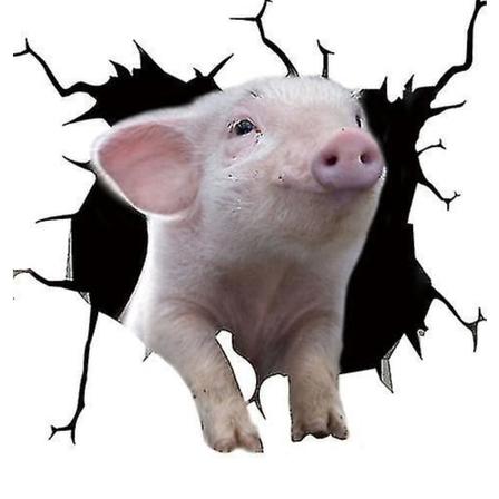 Rolig gris sprucken bildekal Bilfönster Meme Boskapsdekal 12 X 12" Pvc Bildekal Pig 02