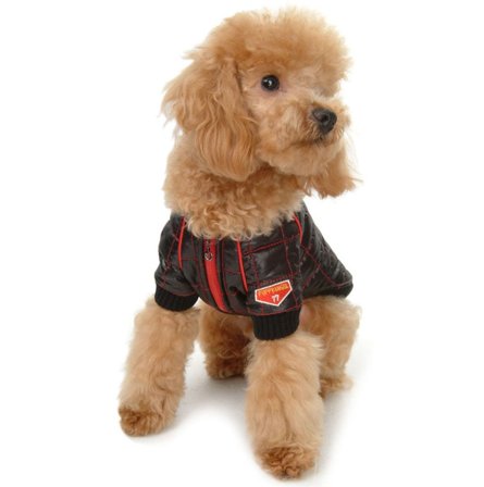 Puppy Angel - PA F1 Jacket - Svart - XL - Varma hundjackor & täcken från Doggie.se