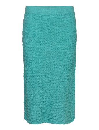 Robertrs Skirt Blue Résumé