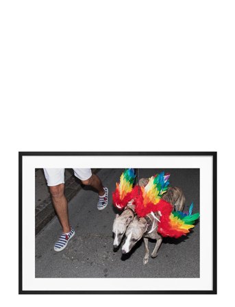 Democratic Gallery | Poster Rainbow Dogs | 21X30