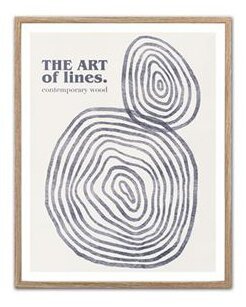 Taulu Blue Line Cirklar Valkoinen