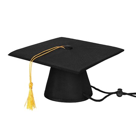 Luonnonpuu Lemmikkipapaukaija Raaka puu haarukka puun oksa Teline Orava Lintu Hamsterin oksa Ahvenet Pureskelulelut Stick Dia Dia. 1,5 cm 20 cm