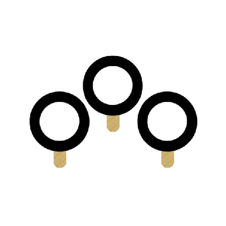 Samsung Galaxy S21 FE Kameralins