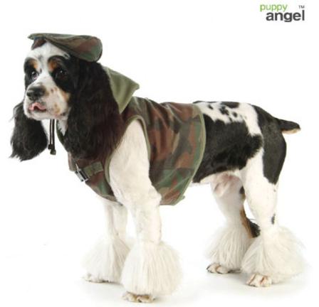 PA Military hardness Camo - Klassiska hundselar, Jacket, Step-in, Y-Selar Dragselar, Fodrade vinterselar på Doggie.se